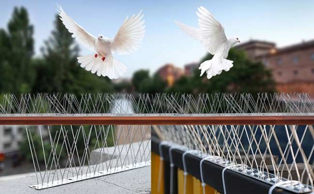 شاخک یا میله ضد پرنده